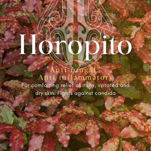 Horopito Pani (Balm) – Nurturing care for dry, delicate, or sensitive skin.