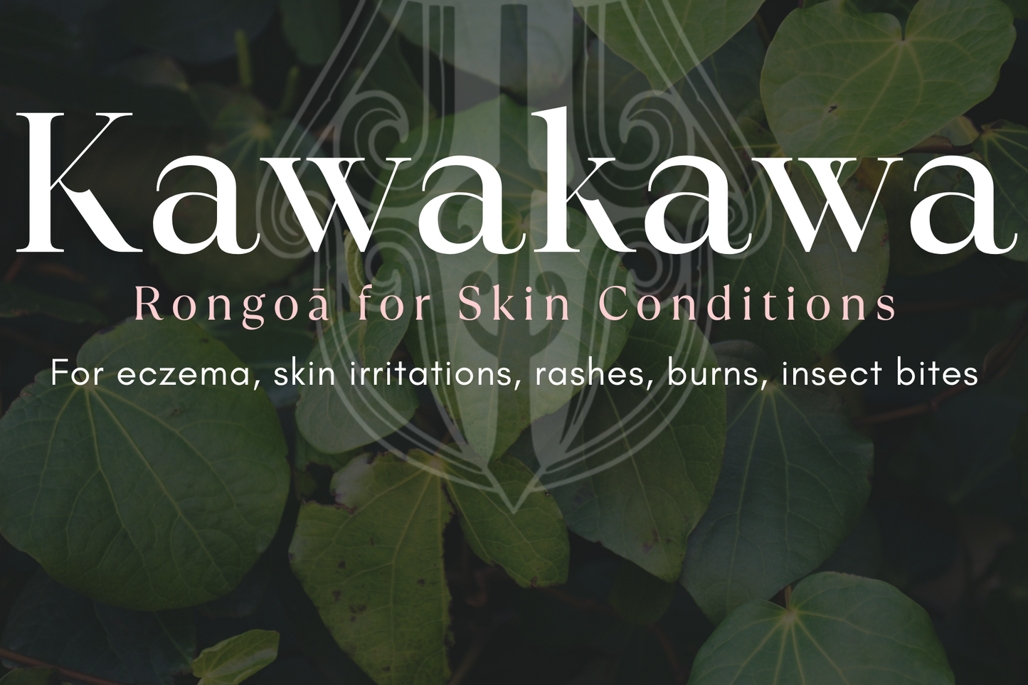 Kawakawa Pani (Balm) – Natural Care for Your Skin